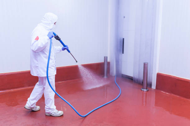 Best Spring Cleaning  in Glendora, CA